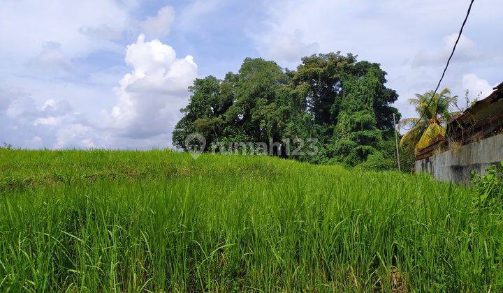 Land for rent in Kaba Kaba Tabanan Dkt Seseh, Bali 2