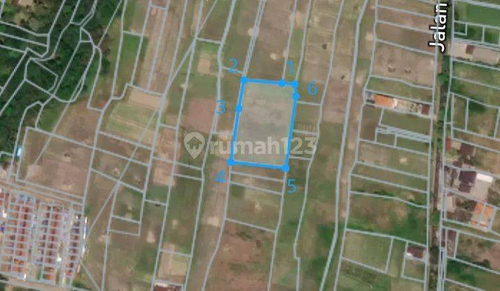 Dijual Tanah Sawah di Tunjuk Tabanan Bali 2