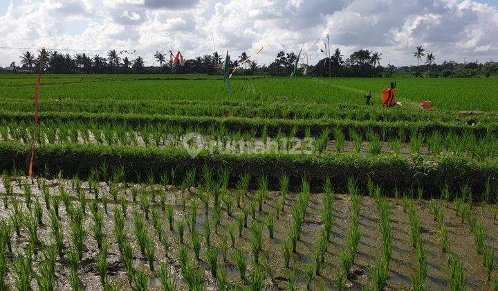 Dijual Tanah di Jl Pantai Seseh Dkt Canggu,pererenan,tanah Lot 3