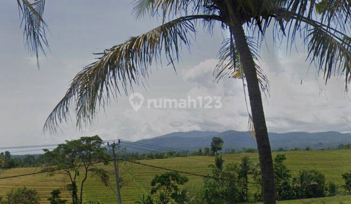 Land for sale on Jl Utama Denpasar Gilimanuk Antosari Tabanan Bali 2