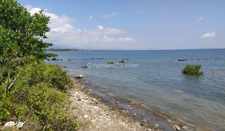 Dijual Tanah Los Pantai di Sumbawa Utan Nusa Tenggara Barat 1