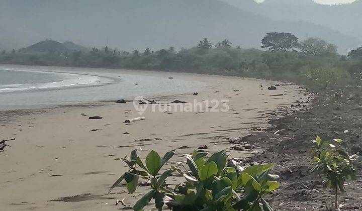 Dijual Tanah Los Pantai Sumbawa Barat Jereweh Ntb 1