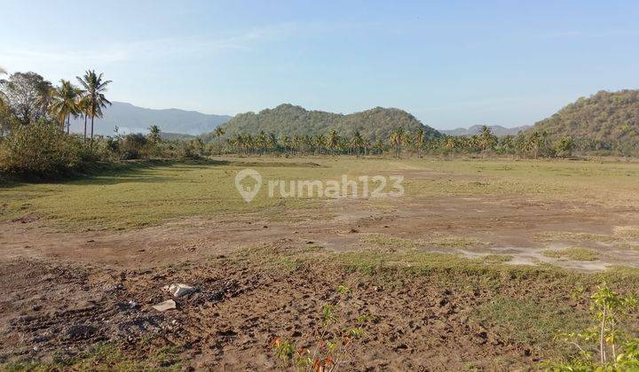 Dijual Tanah Los Pantai Sumbawa Barat Jereweh Ntb 3