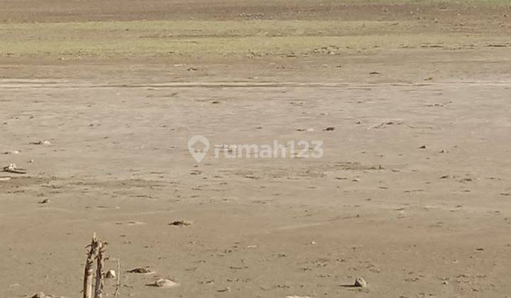 Dijual Tanah Los Pantai Sumbawa Barat Jereweh Ntb 5