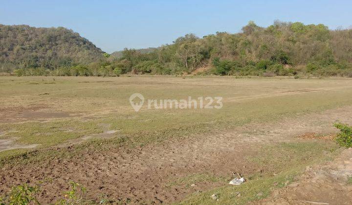 Dijual Tanah Los Pantai Sumbawa Barat Jereweh Ntb 4
