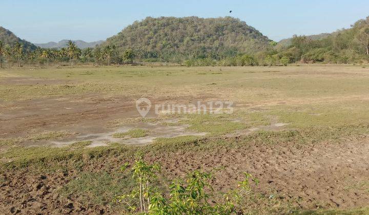 Dijual Tanah Los Pantai Sumbawa Barat Jereweh Ntb 10