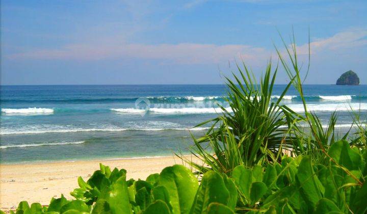 Tanah Los Pantai di Lombok Ntb Pantai Meang View Sunset Dan Sunrise 1