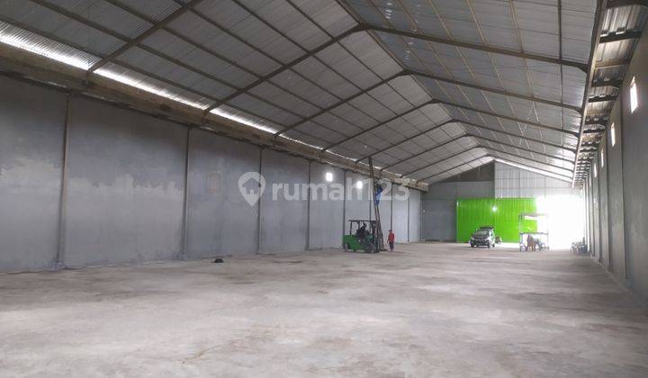 Gudang sewa di Denpasar Bali Jl.Kargo dkt Gatsu Barat, Mahendradatta 1