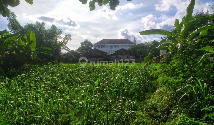 Disewakan tanah 14 are di Padang Galak Sanur Denpasar Bali 1