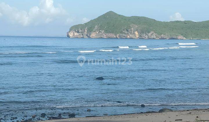 Dijual Tanah Los Pantai Sekongkang Sumbawa Barat Ntb 3