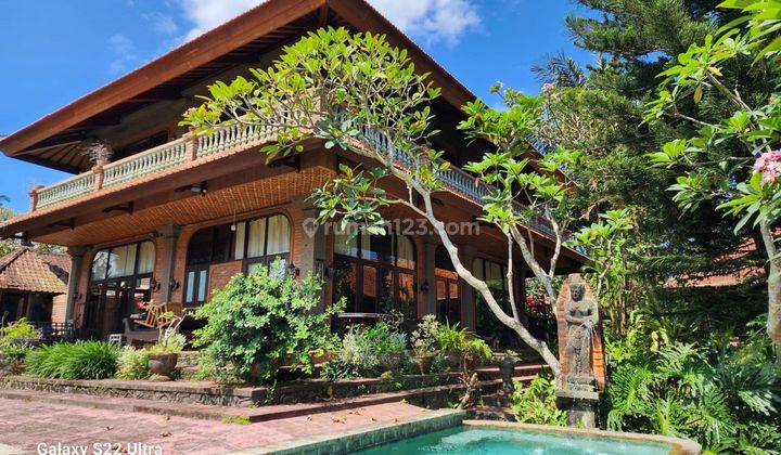 Villa with rice field view in Pejeng close to Ubud Gianyar Bali 1