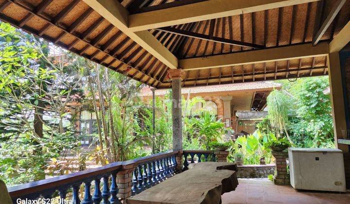 Villa view sawah di Pejeng dekat ke Ubud Gianyar Bali 3