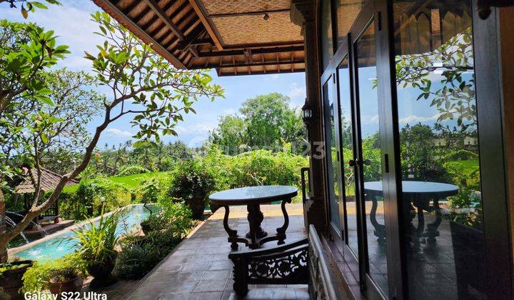 Villa view sawah di Pejeng dekat ke Ubud Gianyar Bali 4