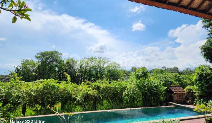 Villa view sawah di Pejeng dekat ke Ubud Gianyar Bali 6