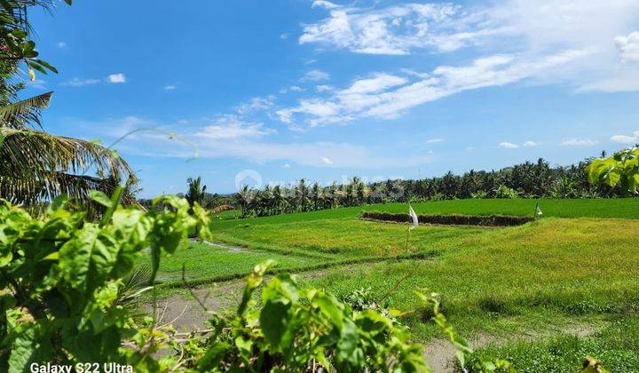 Villa view sawah di Pejeng dekat ke Ubud Gianyar Bali 10