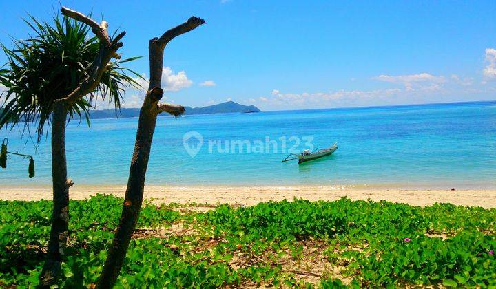 Dijual Tanah Kavling Los Pantai Pengantap Sekotong Lombok 2