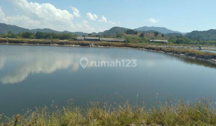 Dijual Tanah Tambak 50 Hektare di Sumbawa Nusa Tenggara Barat 2