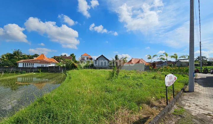 Tanah Leasehold di Babakan Canggu Bali 2