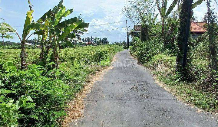 Dijual Tanah 242 M2 Dkt Pantai Purnama Gianyar Bali 1