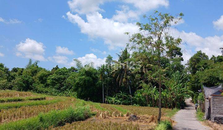 Disewakan Tanah 390 M2 di Kaba kaba Kediri Tabanan Bali  1