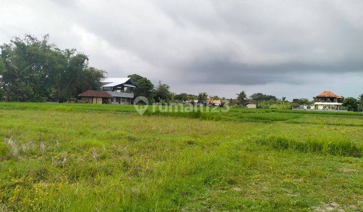 Plots of land for sale in Nyambu Dkt Kaba Kaba Tabanan Bali 1