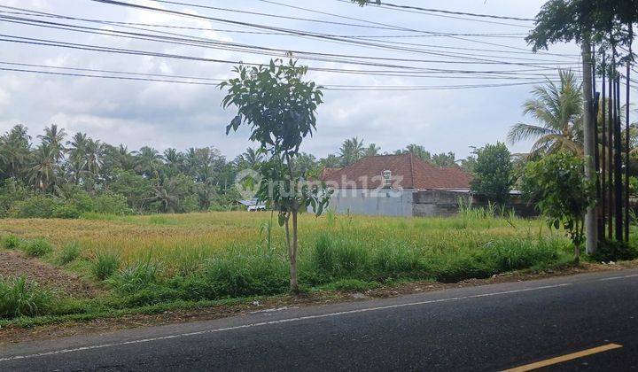 Land 3280 M2 in Mengwi Jl Denpasar Singaraja Badung Bali 2