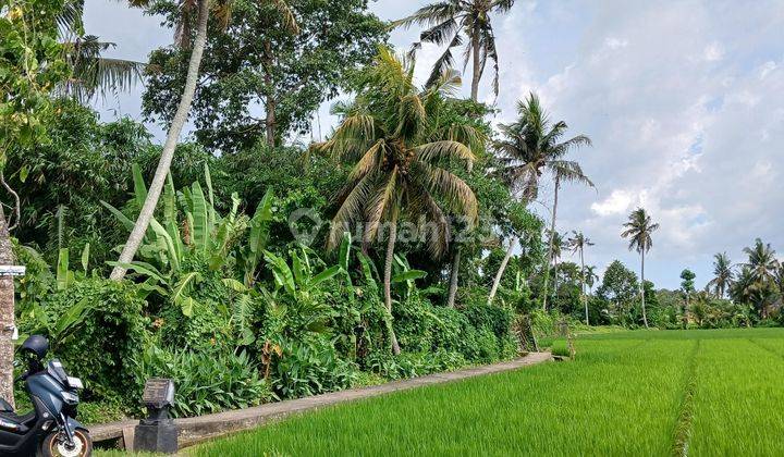 Tanah View Sawah 740 M2 Dkt Pantai Kedungu,belalang Tabanan 1