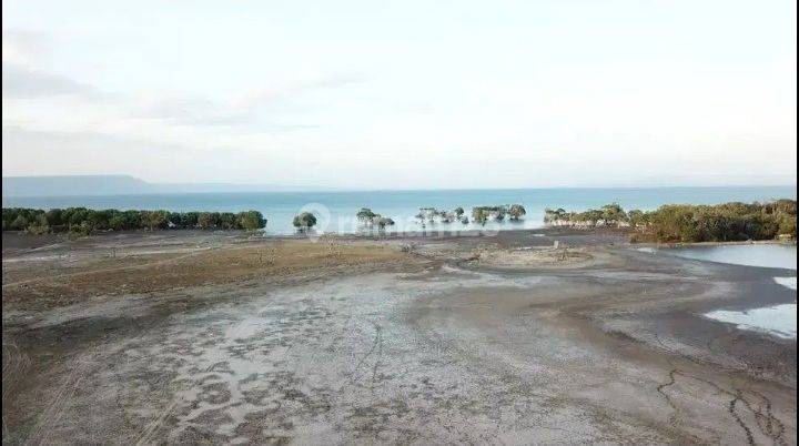 Dijual Tanah Tambak Los Pantai 58 Hektare Moyohilir Sumbawa 1