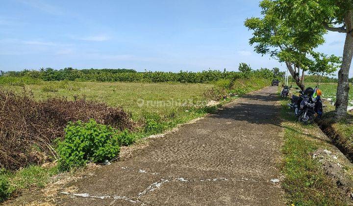 2.43 Hectares of land for sale in Pengambengan Negara, Jembrana, Bali  1