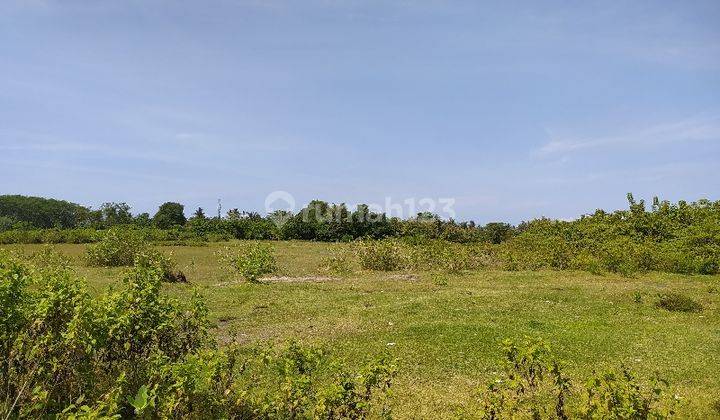 2.43 Hectares of land for sale in Pengambengan Negara, Jembrana, Bali  2