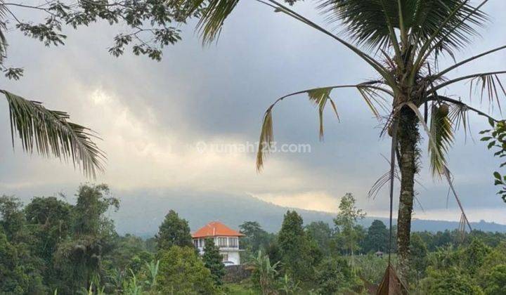 Dijual Tanah di Jatiluwih Penebel Tabanan View Sawah Gunung Laut 1