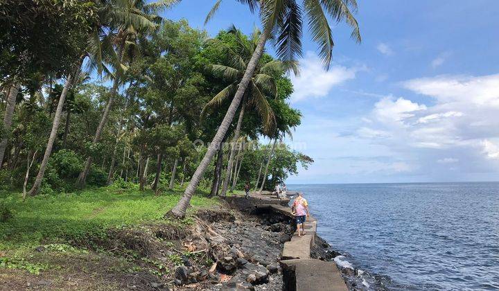 1.6 Hectare Beachfront Land For Sale Tejakula Buleleng Bali 1