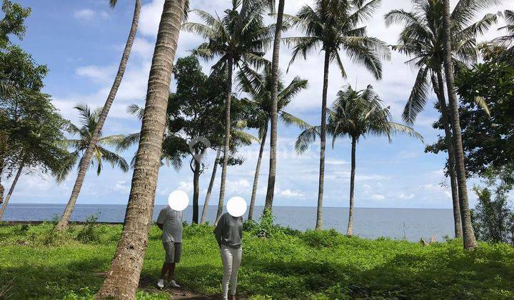 1.6 Hectare Beachfront Land For Sale Tejakula Buleleng Bali 2