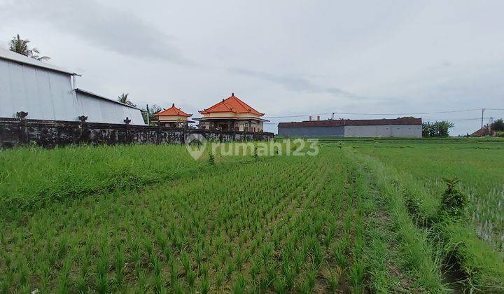 Dijual Tanah 6 Are di Area Nyambu Kaba kaba Kediri Tabanan 2