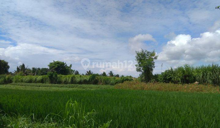 Tanah Ada Mata Air Itr Perdagangan Dan Jasa Abiansemal Badung 2