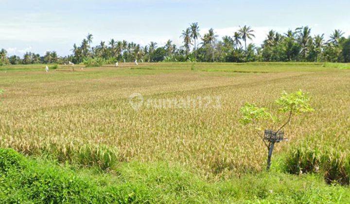 Dijual Tanah View Sawah Dan Laut di Medahan Blahbatuh Gianyar  1