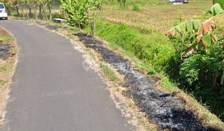 Dijual Tanah View Sawah Dan Laut di Medahan Blahbatuh Gianyar  2