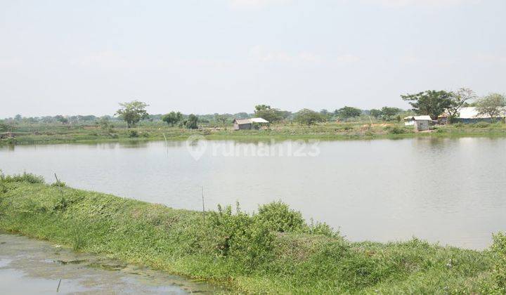 Lahan Industri Dan Tambak Nol Jalan Sidayu Gresik Jawa Timur 1