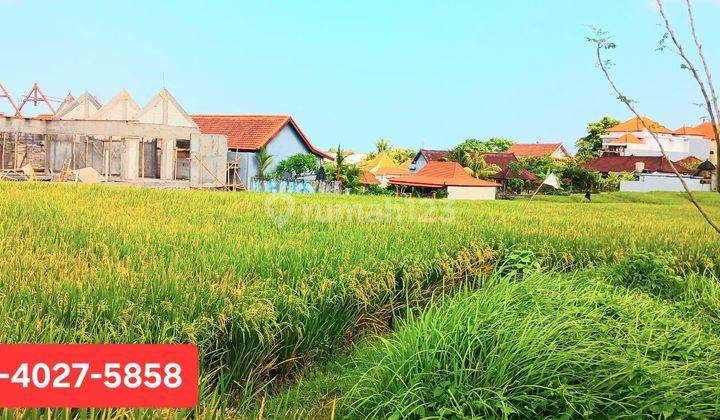 For sale is 677 m2 of land in the Canggu Kayu Tulang area, North Kuta, Bali 1