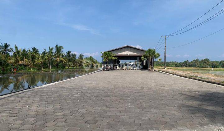 For rent 1220 m2 land in the Kedungu area of Tabanan Bali 1