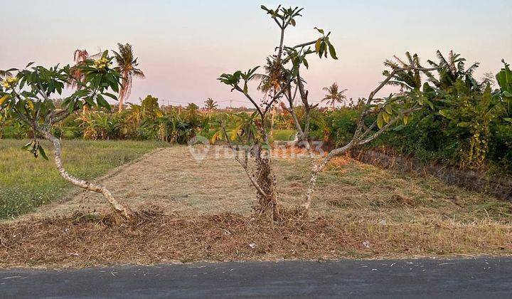 Disewakan tanah di dkt pantai Seseh Munggu Pererenan  1