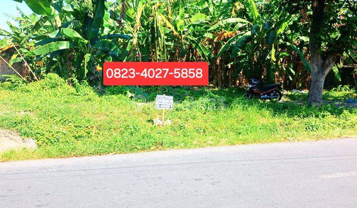 For rent 240 m2 land in Gatsu Tengah jl Belalu Denpasar Bali 1