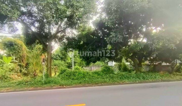 Tanah 1 Hektar Jl Seririt Singaraja Gerokgak Buleleng Bali 2