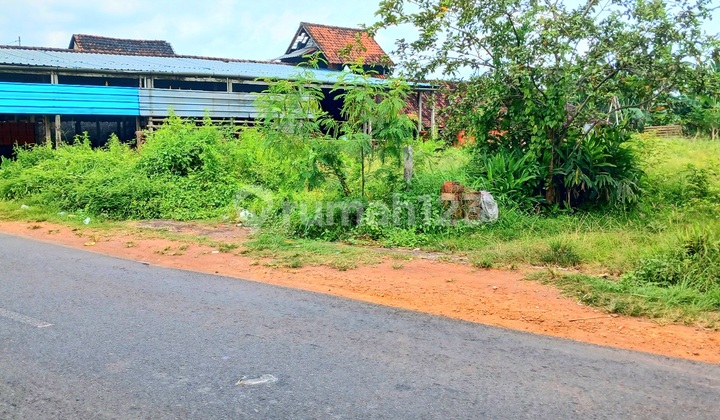For Rent Land In Darmasaba Abiansemal Badung Bali For Rent Land In Darmasaba Abiansemal Badung Bali