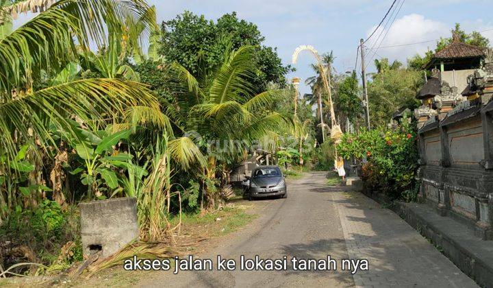 Dijual Tanah View Sawah Dkt Pantai Kelating Tabanan Bali 2