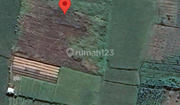 Dijual Tanah Sawah di Tunjuk Tabanan Bali 1