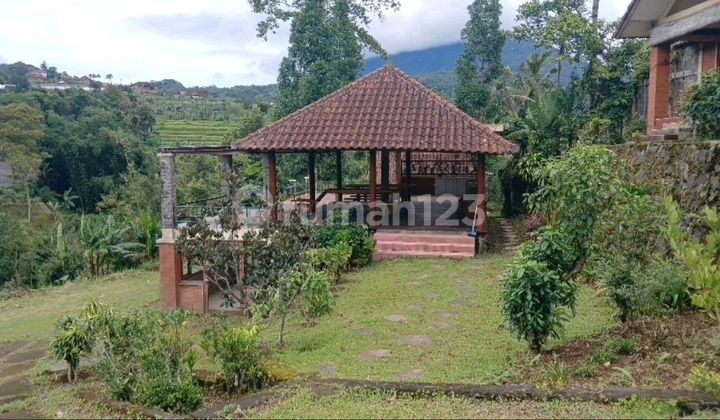 Land 1.6 Hectares with Mountain View in Bedugul Area, Tabanan, Bali Land 1.6 Hectares with Mountain View in Bedugul Area, Tabanan, Bali