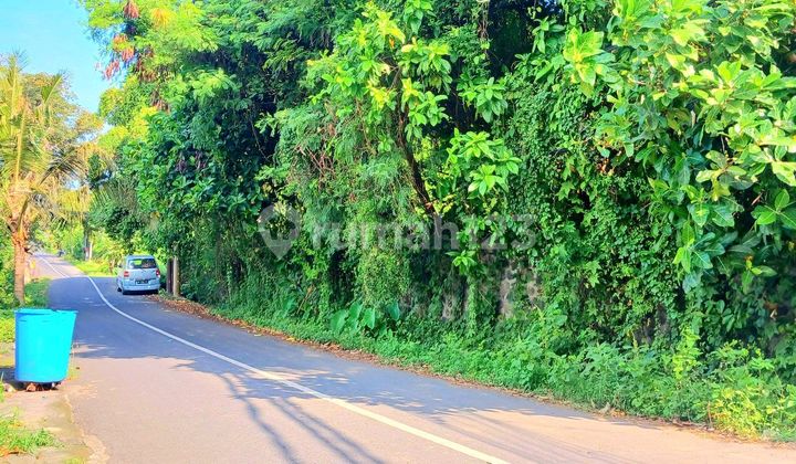 Tanah Zona Pariwisata Dkt Pantai Purnama Gianyar Bali 1