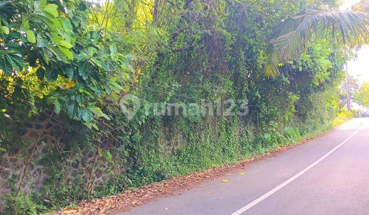 Tanah Zona Pariwisata Dkt Pantai Purnama Gianyar Bali 2