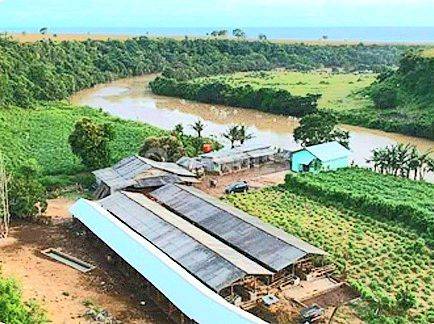 Lahan Peternakan Siap Pakai Area Labangka Sumbawa NTB 1